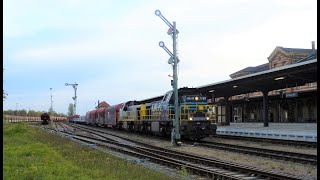 Der Gipser und ein Zug zum Verzweifeln in Bernburg am 03.11.2022