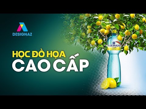 Học Thiết Kế Đồ Họa,Thực Hành Thiết Kế Các Sản Phẩm Đồ Họa Chuyên Nghiệp