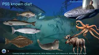 UAF Proposal Presentation