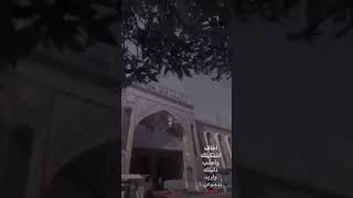 حالات واتساب باسم الكربلائي 2020 ️/لطميات حسينيه /ستوريات حسينيه /مرتضى حرب محرم 2021ستوريات انستا