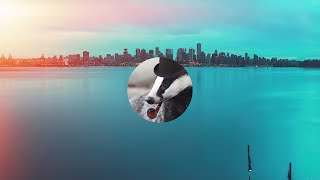 DBadge - Lazy Days