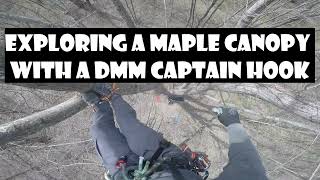 Traversing &amp; Exploring a Maple Canopy with a DMM Captain Hook_Recreational Tree Climbing