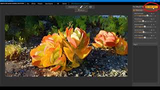 How to Use GRFX Studio in PaintShop Pro screenshot 4