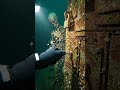 Skeleton Chained to Harbor Mooring Bollard Safe Ca