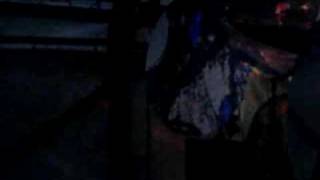 Solfest 2008