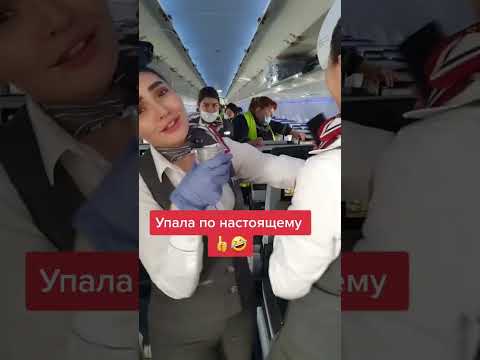 Стюардессы Узбекских авиалиний злоупотребляют горячительными напитками. #Узбекистан #халяль