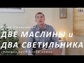 42.Два Светильника