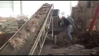 Shearing Type Palm Fiber Crusher Ruby Yljx168.Com
