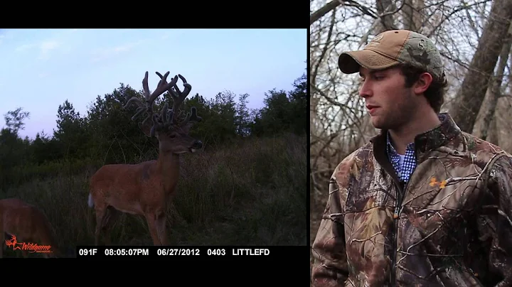 NEW World Record Archery Velvet Kill (BTR) Record ...