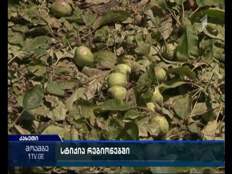 განადგურებული სავარგულები და დატბორილი სახლები - ზარალს ითვლიან რეგიონებში