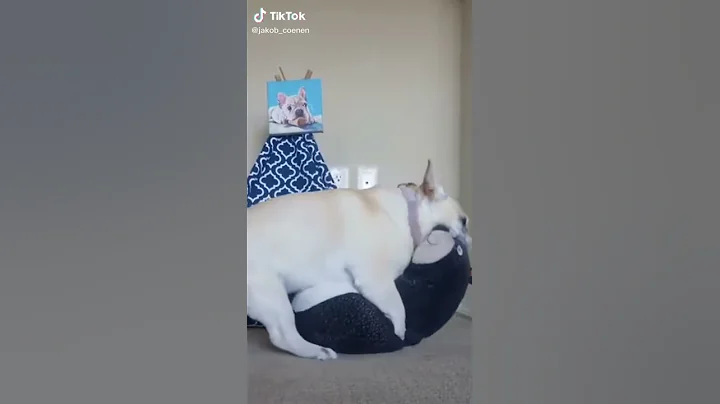 TIKTOK- JACOB COENEN
