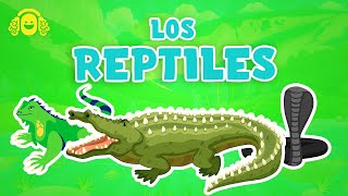 Los REPTILES para niños.Los animales VERTEBRADOS.Vídeos educativos para niños.