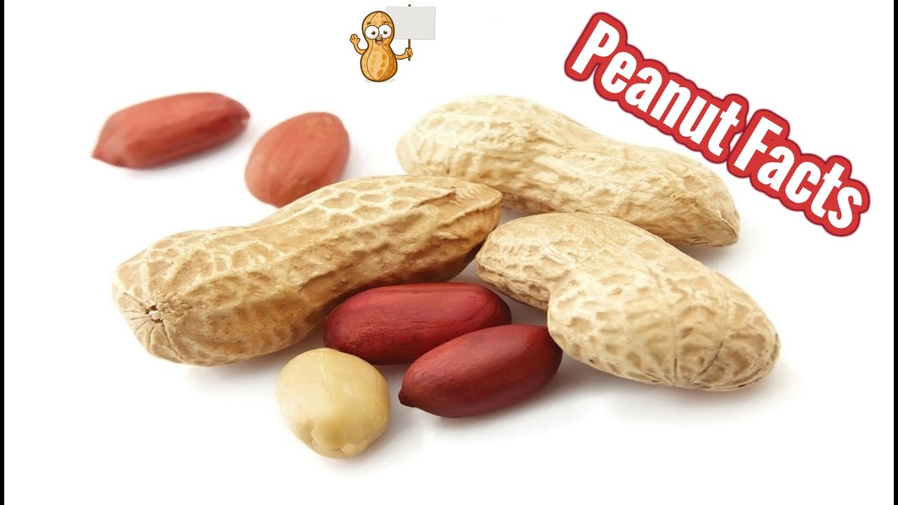 Peanuts? A Superfood? YouTube