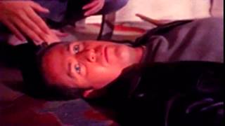 GIF compilation from 2014-05-27 and 2014-05-21, funny, gif