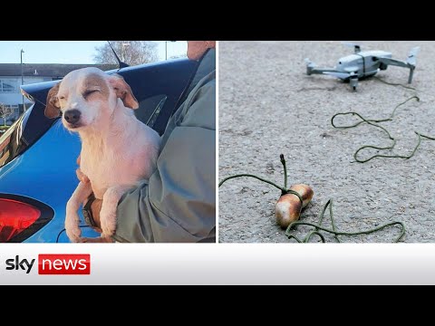 Sausage on a drone saves a dog stranded on a mudflats.