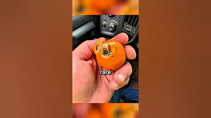 Rare Photos You've Never Seen Before [Part 12]