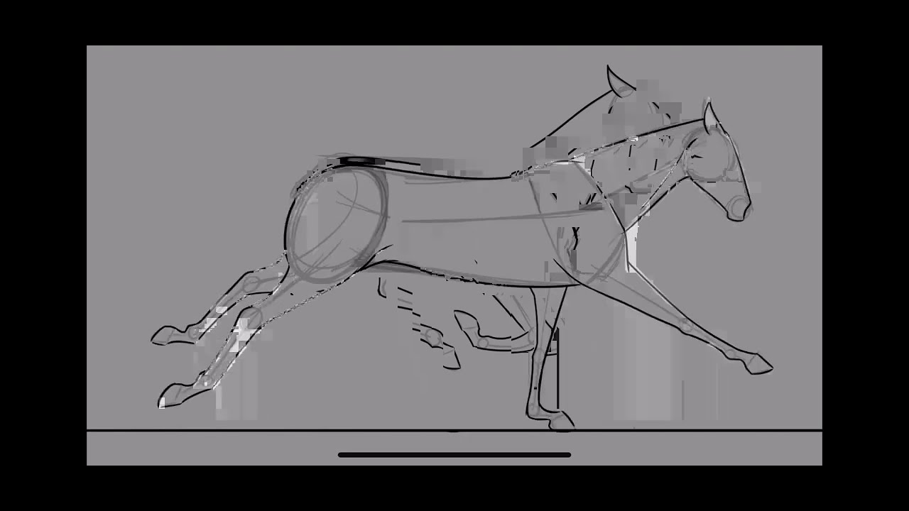 Horse Run Cycle  2D Animation 