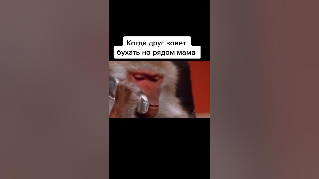 женщина за рулем. рядом я сказала рядом. вдруг война а я уставший. юмористические картинки. муж и жена карикатура.