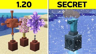 Decorations You Didn&#39;t Know About in Minecraft 1.20