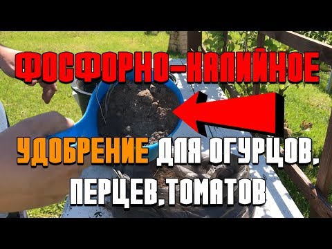 Удобрения для огурцов: калийные, чем удобрять, в теплице, домашних условиях, молоко