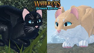 Firestar and Sandstorm [] Warrior Cats Ultimate Edition 