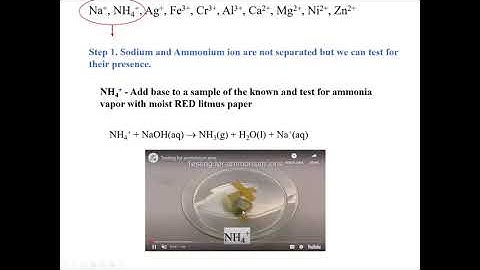 Experiment 12 Pre-Lab Video