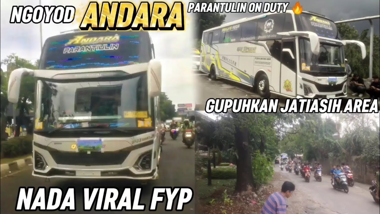 PERDANA NGOYOD ANDARA LANGSUNG GUPUHKAN JATI ASIH AREA ‼️🔥