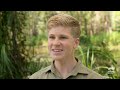 Inspiring Animal Rescue & Rehab Stories with Robert Irwin | Crikey! It's the Irwins | Animal Planet