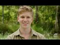Inspiring Animal Rescue & Rehab Stories with Robert Irwin | Crikey! It's the Irwins | Animal Planet