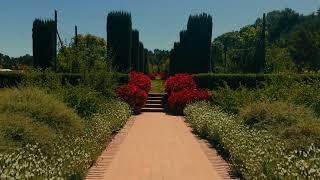 IDOLCAM 4D PRO with Summer Lut color in Filoli Garden. IDOLCAM 4D PRO with Summer Lut color in Filoli Garden.