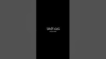 ما تيسر من سورة الأحزاب | القرآن الكريم | القارئ ماهر المعيقلي | كروما