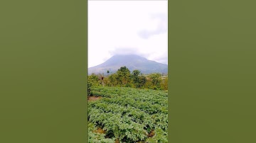 Explore Ladang Kentang Di Kaki Gunung Sinabung