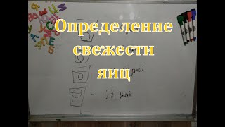 5 класс. Определение свежести яиц