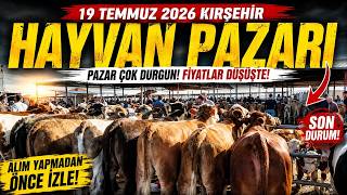 Kirşehi̇r Hayvan Pazari Son Durum 📉 Fiyatlar Düştü Mü? 19 Temmuz 2026 Pazar Turu
