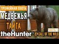 theHunter Call of the Wild #5 🔫 - Медвежья Тайга - Трофейная Охота (Часть 1)