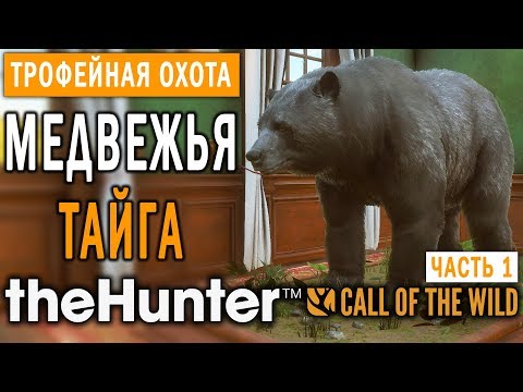 Видео: theHunter Call of the Wild #5 🔫 - Медвежья Тайга - Трофейная Охота (Часть 1)