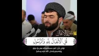 Surah Anfal | Peshawa Qadir Kurdi