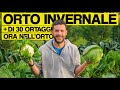 30 VARIETÀ DI ORTAGGI INVERNALI: cosa coltivo ora nell'orto (raccolta e lavori da fare)