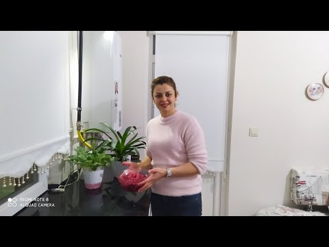 Video: Bədəni Yaşıl Turp Salatı Ilə Vitaminlərlə Doydurmaq