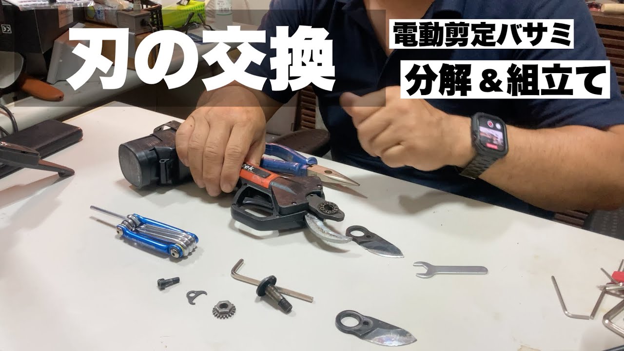 電動剪定鋏（電気バサミ）の刃の交換、分解、清掃、替刃の組み立て方法の解説　クロダシャチョー(kebtek KT-930)