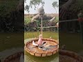 Natural fish Trap Making For Hunting Fish #hookfishing #fishing #fishersworld