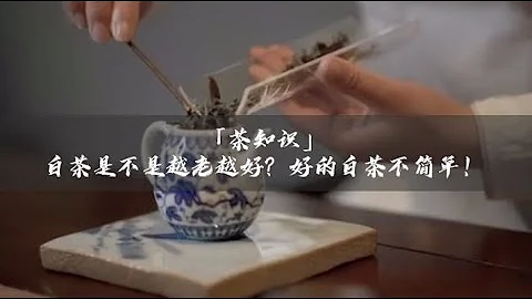 吃茶去｜「茶知识」白茶是不是越老越好？好的白茶不简单！ - 天天要闻