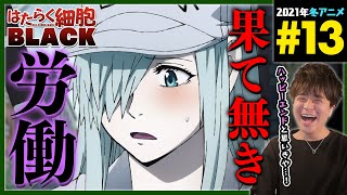 はたらく細胞BLACK 同時視聴