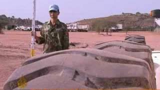 China sends troops to Darfur as promised - 27 July 2008