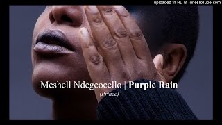 Miniatura de vídeo de "Meshell Ndegeocello - Purple Rain (Tokyo 2014)"