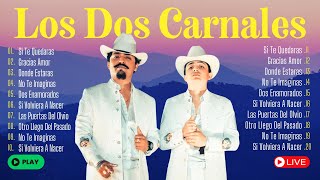 LOS DOS CARNALES MIX Exitos 2024 (New) ~ SUS MEJORES CANCIONES ~ Greatest Hits 2024 ~ 1990s Music