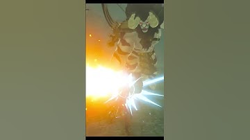 Pro Tip Zelda BOTW Parry The Crap Out Of Lynels, How Many Lynels Attacks Can You Parry?