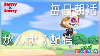 本日15時～おさわり会！あつ森朝活！【あつ森】あつまれ どうぶつの森【NintendoSwitch】