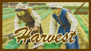Harvest: Teenage Engineering EP 1320 Medieval Synth