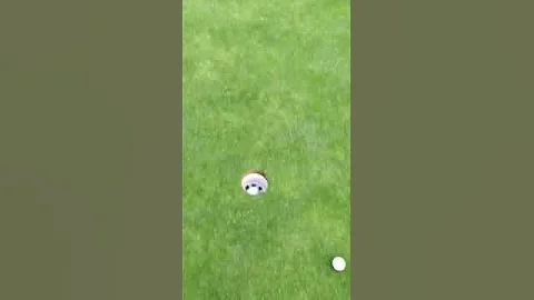 Jim putt